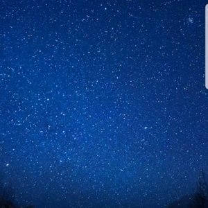 Meet your Posher, Roshund